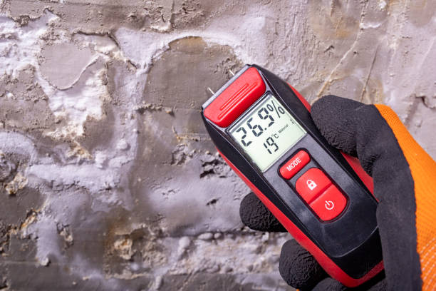 Best Attic Mold Removal  in Union, OH