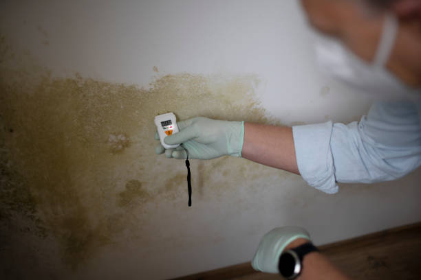 Best Mold Testing  in Union, OH